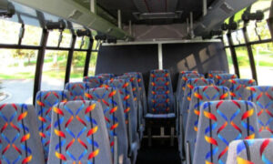 20 person mini bus rental Africa