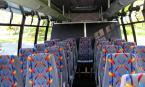 20 person mini bus rental Commercial Point