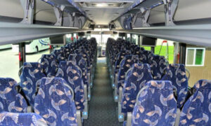 40 person charter bus Darbydale